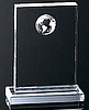 Globe Award (8"x6"x2")